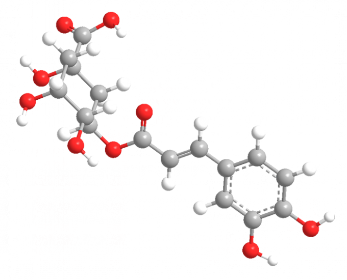 imagem 3D do ácido clorogénico