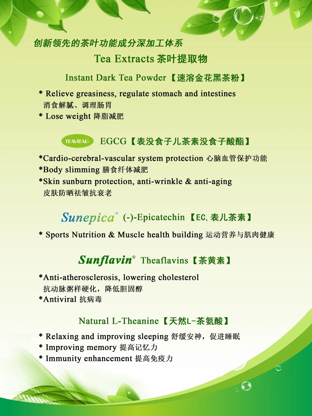 Extrato 90% 95% do chá verde (-) - epicatequina (EC) CAS 490-46-0