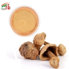 Agaricus Blazei Mushroom Extract Powder 30% Polysaccharides Pharmaceutical