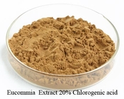 Chlorogenic Acid Eucommia Ulmoides Supplement Powder For Animal Reproduction