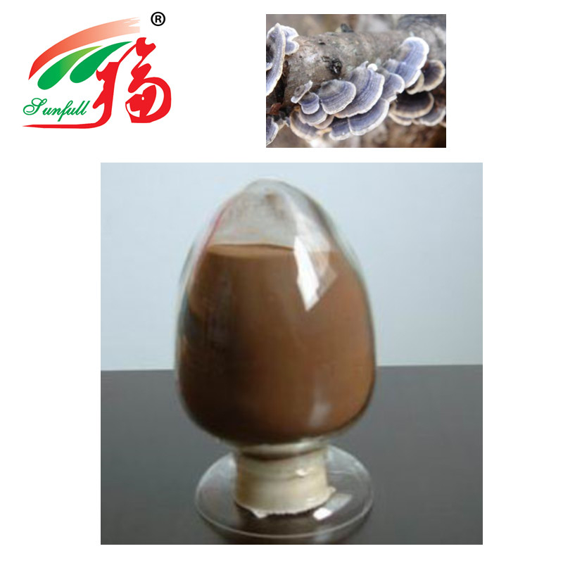 Coriolus Versicolor Extract 30% Polysaccharides For Functional Food