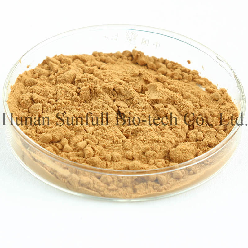 100% extracto de cardo de leite natural em pó de sementes de Silybum Marianum para crescimento de células do fígado