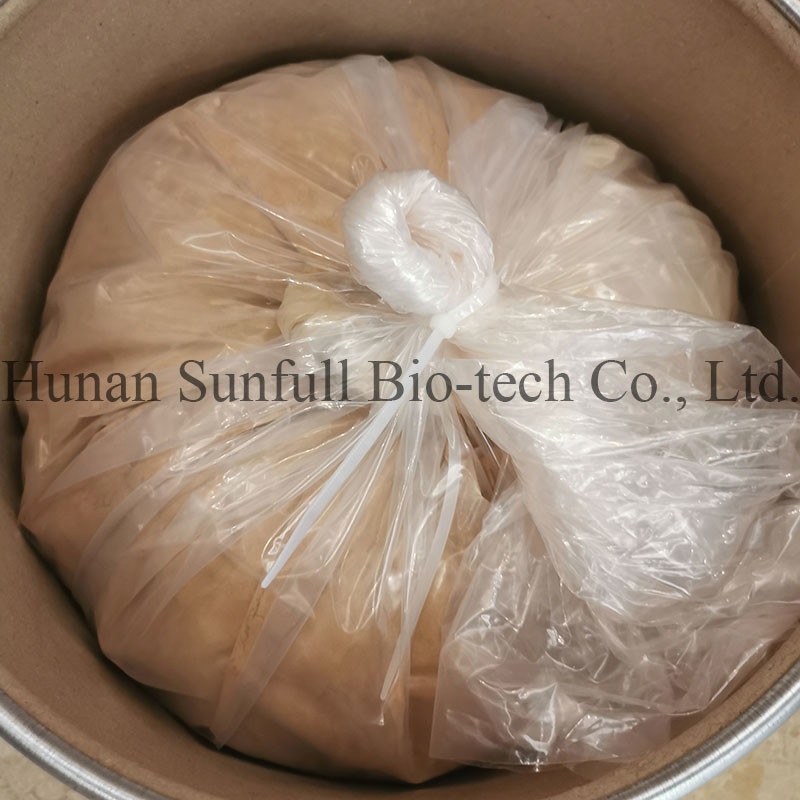 Extracto de Folhas de Ginkgo Biloba 24/6 CAS 90045-36-6 Cp USP561 Ep EC396
