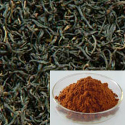 Instant Black Tea Powder, rico aroma de chá preto com líquido de cor âmbar.