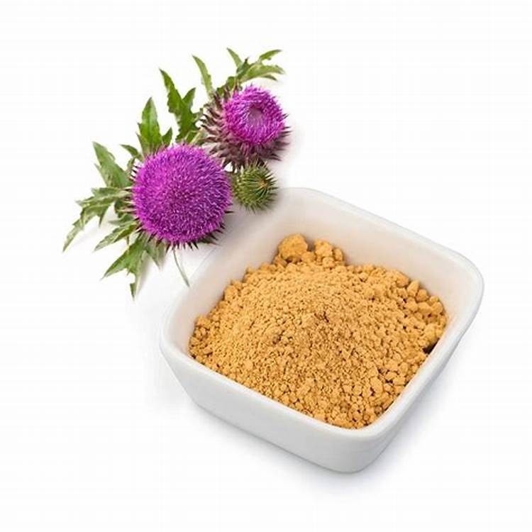 Extracto de planta herbácea de cardo de leite 80% de silimarina Guardião da natureza para a saúde e desintoxicação do fígado