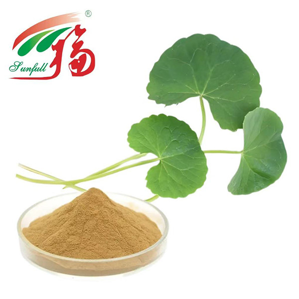 A Gotu Kola Extract Cosmetics Plant extrai 80% de Asiaticoside para cuidados com a pele, reparação de barreiras e anti-irritação, para pele sensível ou propensa a acne