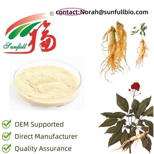 Especificação do produto do extrato de ginseng 10~30% Ginsenosides por UV 15% 20% Ginsenosides por HPLC 80% Ginsenosides por UV ((Stam & Leaves) Ginseng pó liso Diferentes especificações de ginseng Extratos de ginseng são úteis