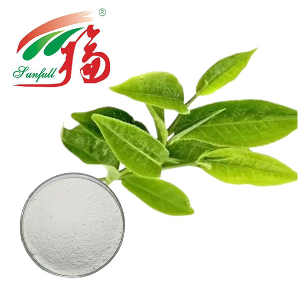 Poder Antioxidante Supremo! Extrato de Chá Verde EGCG 98% - Escudo da Natureza para a Vitalidade