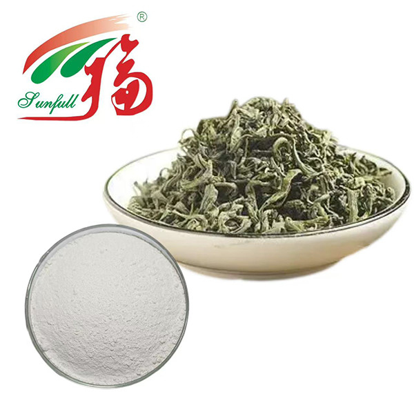 Poder Antioxidante Supremo! Extrato de Chá Verde EGCG 98% - Escudo da Natureza para a Vitalidade