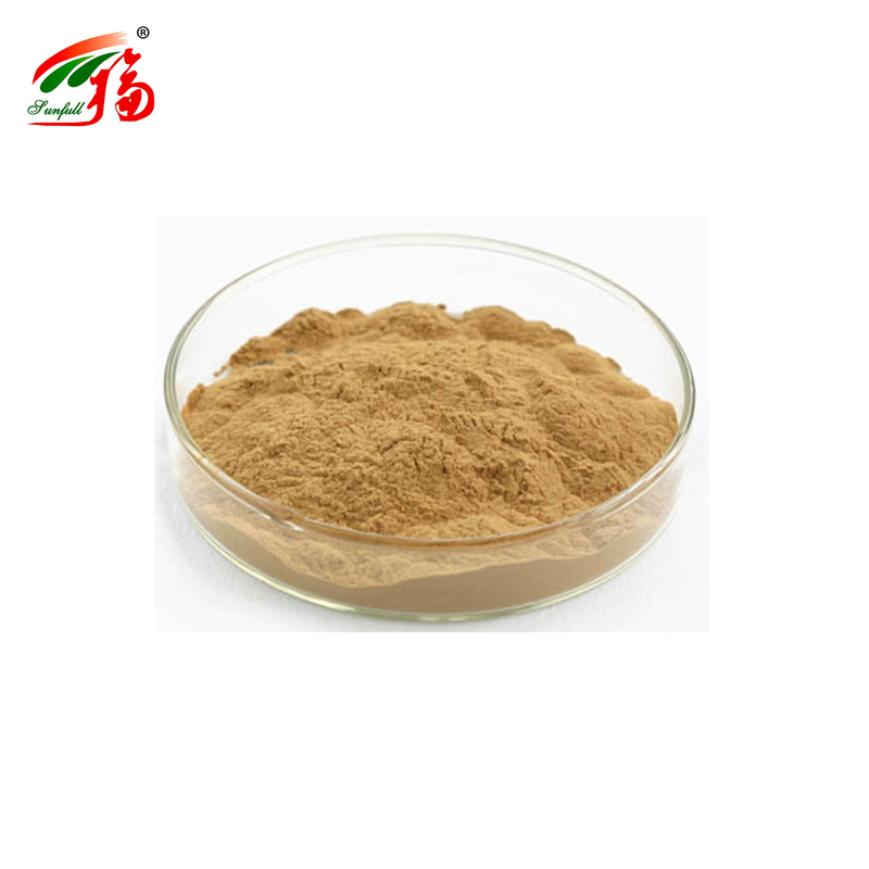 Extrato de Raiz de Kudzu Natural da Fábrica da China Puerarina Com 25% 60% 98% Para Opção