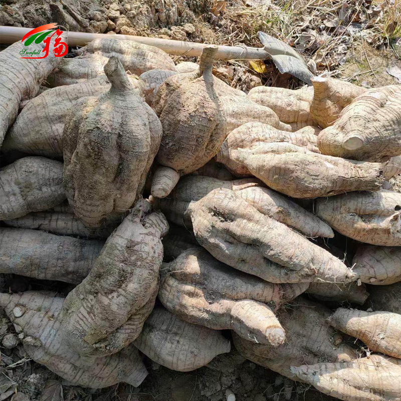 Extrato de Raiz de Kudzu Natural da Fábrica da China Puerarina Com 25% 60% 98% Para Opção