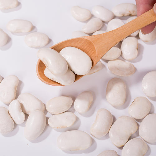 Extracto Premium de Feijão Branco (Phaseolus Vulgaris) - Inibidor de Alta Pureza de α-Amilase para o Manejo do Peso e do Azúcar no Sangue