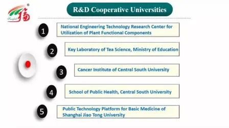 Coprinus Comatus extracto natural em pó com polissacarídeos 50% 80 Tamanho de malha e 2 anos de vida