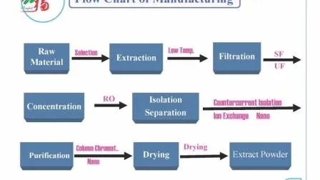 Cordyceps Sinensis Extract Powder for Anti-Aging Health Food in Fine Brown Yellow Powder