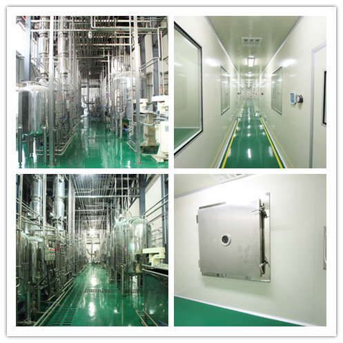 Coprinus Comatus extracto natural em pó com polissacarídeos 50% 80 Tamanho de malha e 2 anos de vida