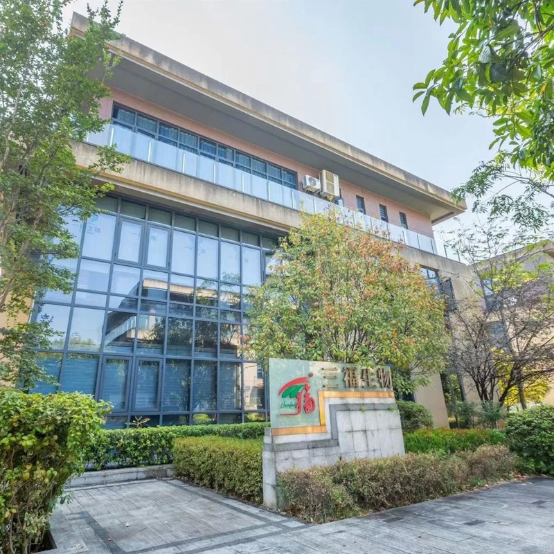 Morchella Esculenta extracto em pó com 100% através de 80 malhas 2 anos de vida útil e capacidade de produção de 20 t/ano