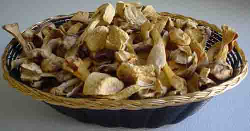 Extrato em Pó de Agaricus Blazei com 20% de Polissacarídeos para Alimentos Funcionais e Produtos de Saúde