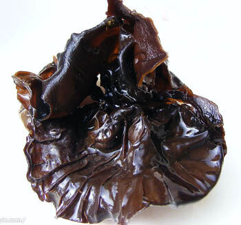 Extrato de Fungo Negro 50% Polissacarídeos em Pó de Grau Alimentício para Alimentos Funcionais para Aumentar a Imunidade