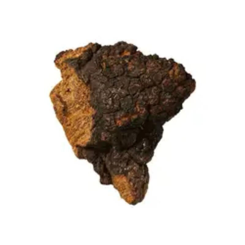 Extrato de Chaga 30% Polissacarídeos Pó Fino Marrom Amarelado para Alimentos Funcionais e Produtos de Saúde