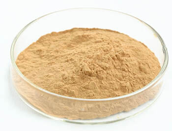 Extrato em Pó de Cogumelo Ostra com 50% de Polissacarídeos para Alimentos Funcionais e Benefícios Anti-Tumorais