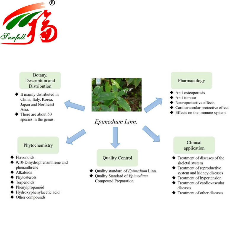 Extrato de Epimedium 100% Natural Direto da Fábrica 30% de Icariinas para Suplementos de Saúde e Potencializador Sexual