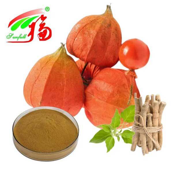 Extrato de Raiz de Ashwagandha Withania Somnifera África do Sul Withanolides 5% Produtos para Saúde Alimentar