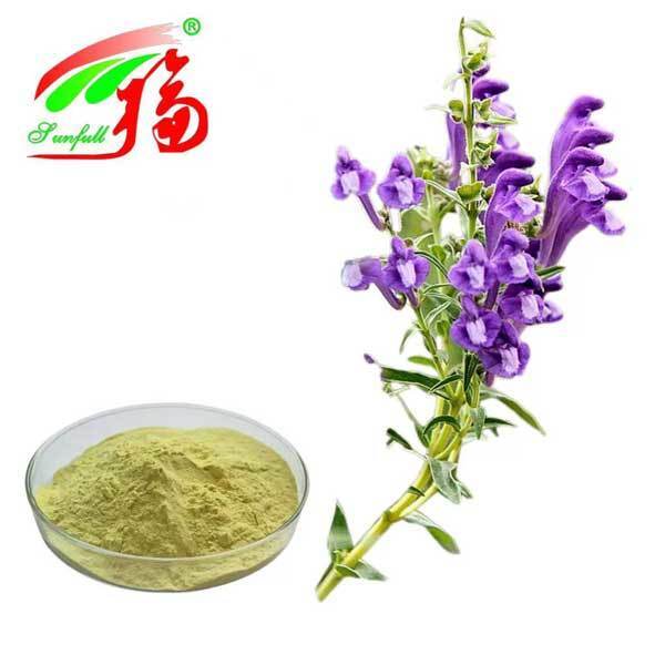 Ingredientes de cuidados de saúde 10%~95% Baicalin Baicalein em pó Scutellaria baicalensis Georgi Extracto Radix Scutellariae Extracto Baikal Skullcap Extract