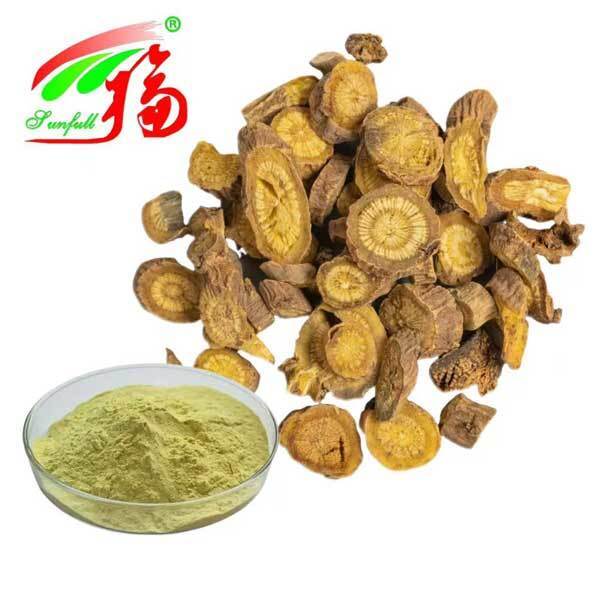 Ingredientes de cuidados de saúde 10%~95% Baicalin Baicalein em pó Scutellaria baicalensis Georgi Extracto Radix Scutellariae Extracto Baikal Skullcap Extract