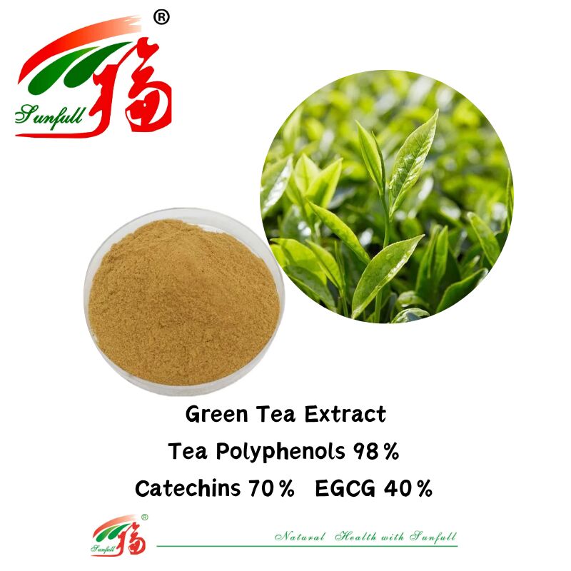 Hunan Sunfull Ingredientes de Ervas Orgânicas Teaflavinas 10~40% EGCG 40% Catequinas 70% Polifenóis do Chá 98% Extrato de Chá Verde