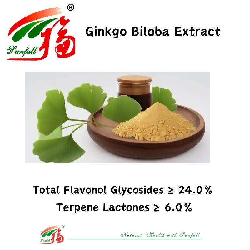 100% natural solúvel em água 24% ginkgolides extrato de folha de ginkgo biloba em pó para suplementos dietéticos