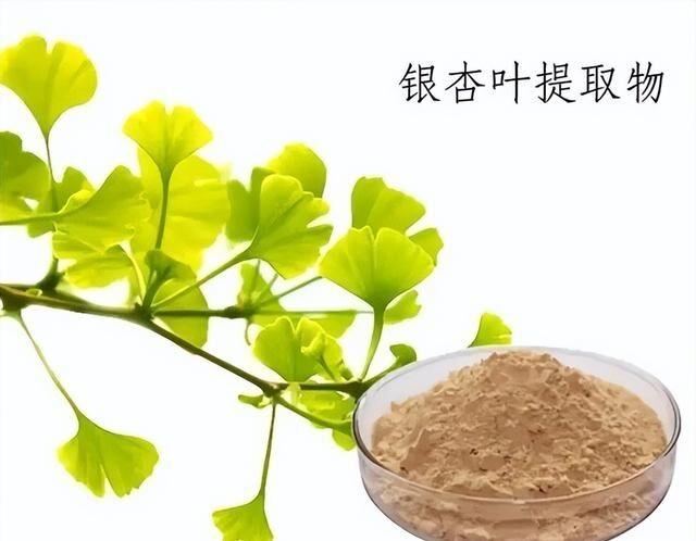 100% natural solúvel em água 24% ginkgolides extrato de folha de ginkgo biloba em pó para suplementos dietéticos