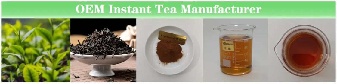 Melhor preço Boa solubilidade Amostra gratuita Pó de chá solúvel a frio para bebida Instantâneo Chá verde/Chá preto/Chá escuro/Chá oolong/Extrato de chá preto em pó