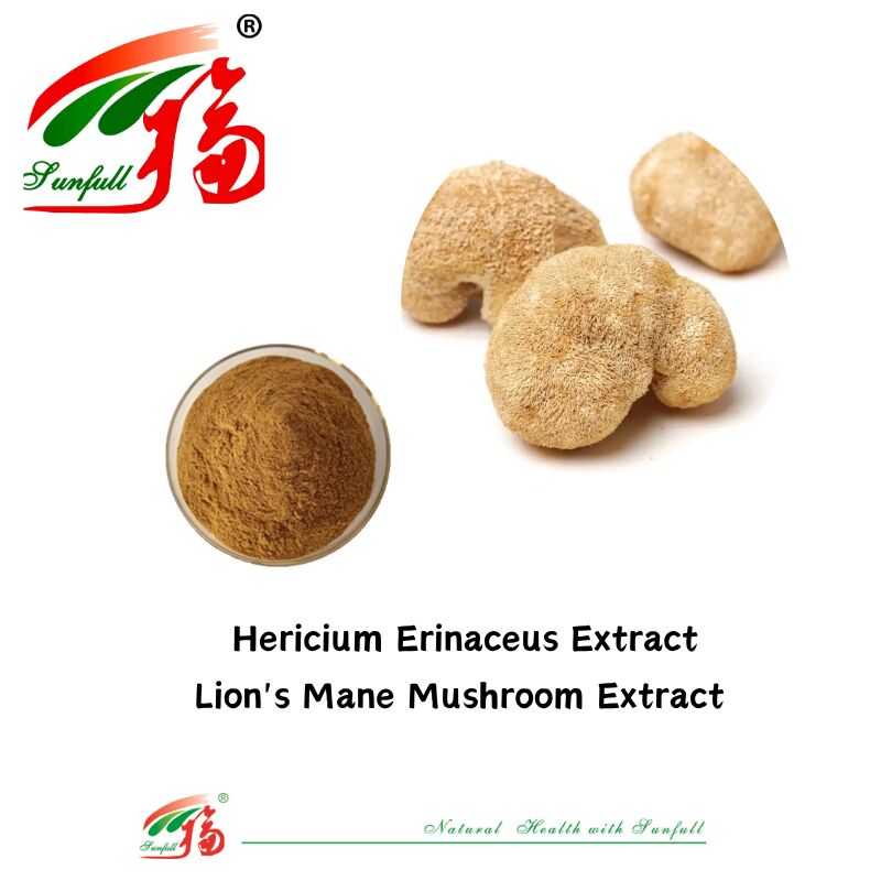 Hunan Sunfull Suplementos alimentares Agaricus Subrufescens/Hericium Erinaceus/Antrodia/Cordyceps Sinensis/Coriolus Versicolor/Extrato de cogumelo em pó