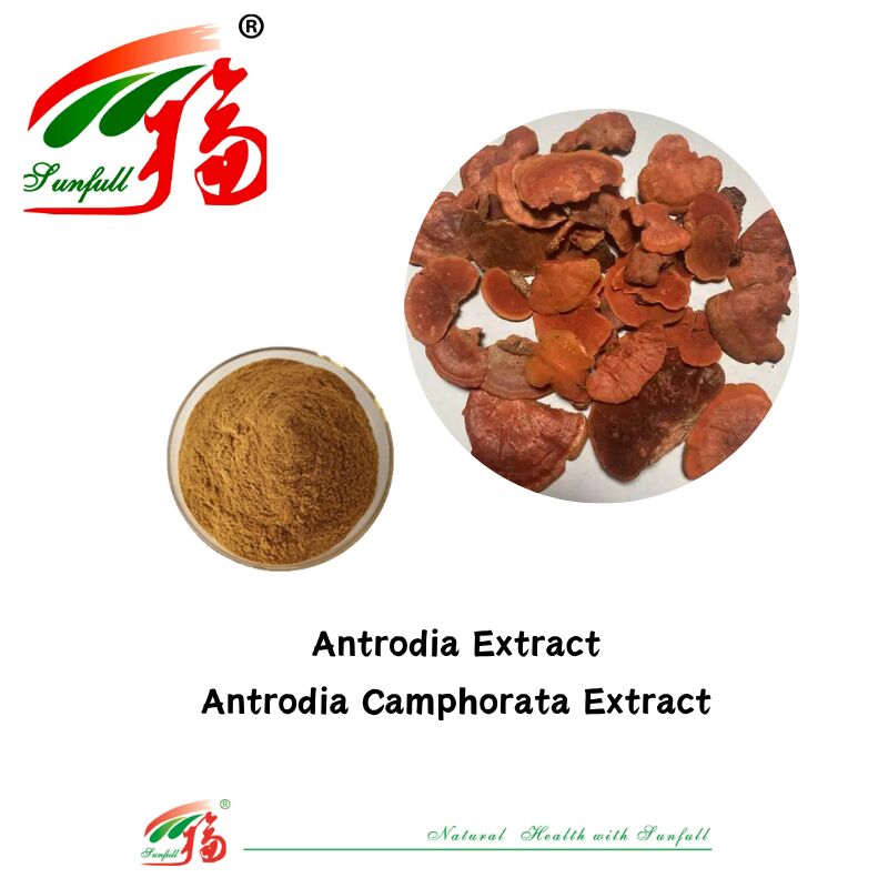 Hunan Sunfull Suplementos alimentares Agaricus Subrufescens/Hericium Erinaceus/Antrodia/Cordyceps Sinensis/Coriolus Versicolor/Extrato de cogumelo em pó