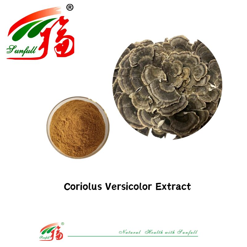 Hunan Sunfull Suplementos alimentares Agaricus Subrufescens/Hericium Erinaceus/Antrodia/Cordyceps Sinensis/Coriolus Versicolor/Extrato de cogumelo em pó