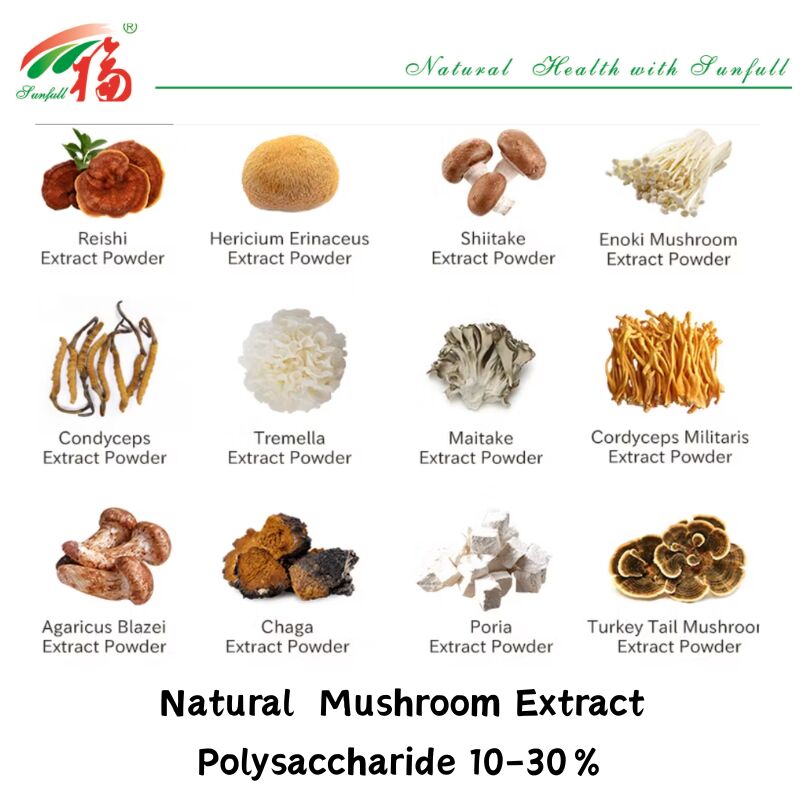 Hunan Sunfull Suplementos alimentares Agaricus Subrufescens/Hericium Erinaceus/Antrodia/Cordyceps Sinensis/Coriolus Versicolor/Extrato de cogumelo em pó