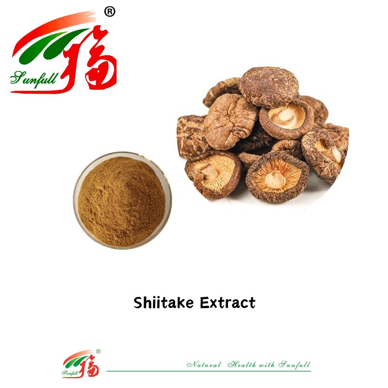 Ingrediente orgânico natural Suplementos alimentares Polissacarídeos 10-30% Phellinus Igniarius /Ganoderma Lucidum/Chaga/Maitake / Shiitake Extracto de cogumelo em pó