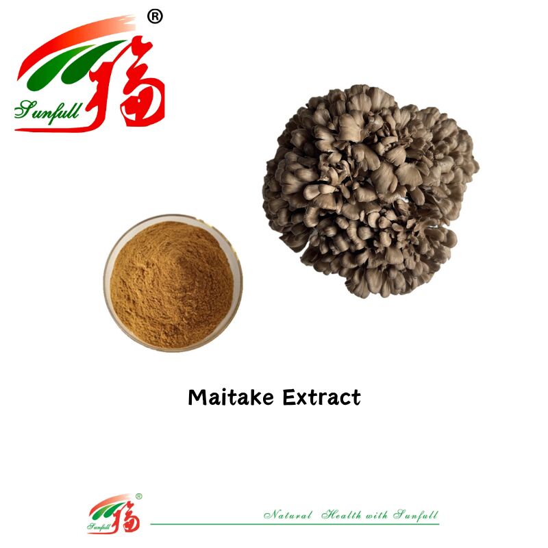 Ingrediente orgânico natural Suplementos alimentares Polissacarídeos 10-30% Phellinus Igniarius /Ganoderma Lucidum/Chaga/Maitake / Shiitake Extracto de cogumelo em pó