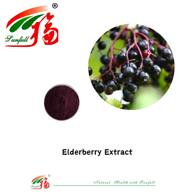 Fábrica Hunan Sunfull Fornecer Antioxidantes Naturais de Alta Qualidade Antocianinas 1%-25% Extracto de Beterraba/Alderberry/Acai Berry/Cebolinha