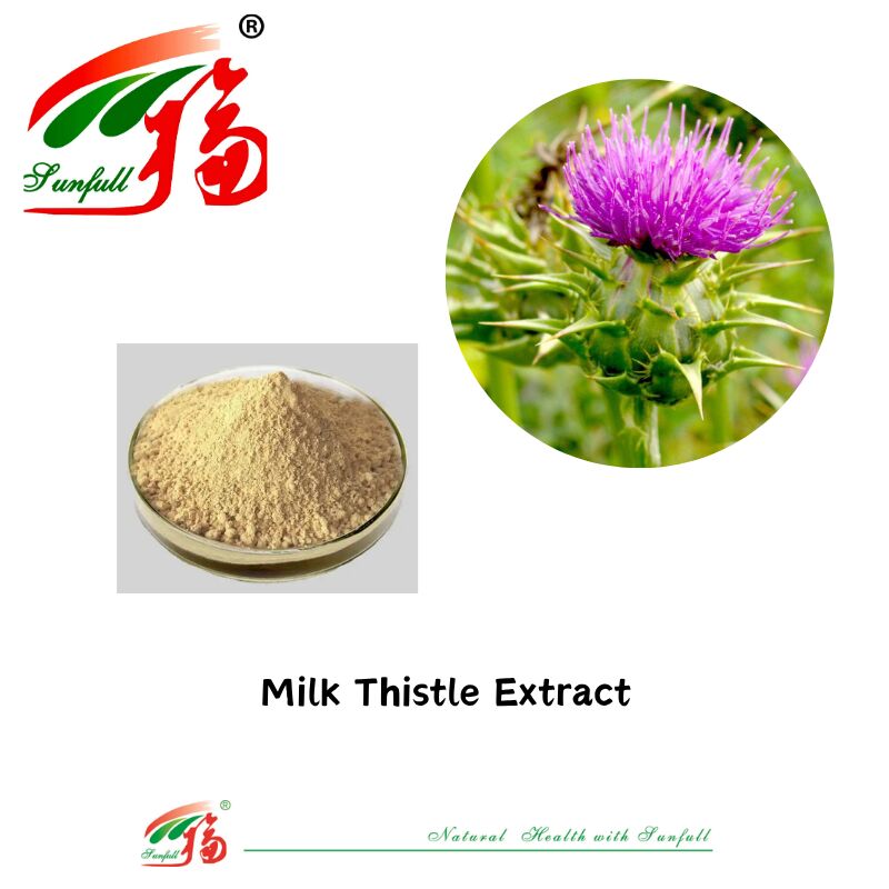 Ervas Silybum Marianum Plant Blessed Thistle Seed Powder 30% Silybins HPLC UV 40%~80% Liposome 40%-80% Silymarin Milk Thistle Extract para a saúde do fígado