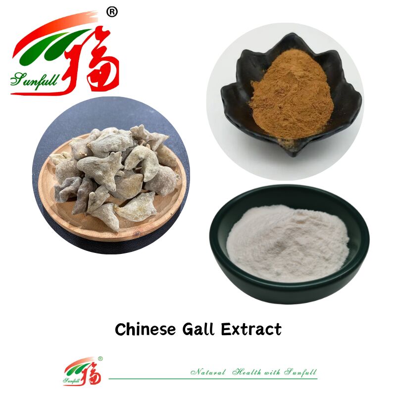 ISO 22000/Kosher/Halal Médico Tradicional Chinês Fornecimento Direto Natural 40%-90% Ácido Elágico 99% Ácido Gálico em Pó Extrato de Galha Chinesa