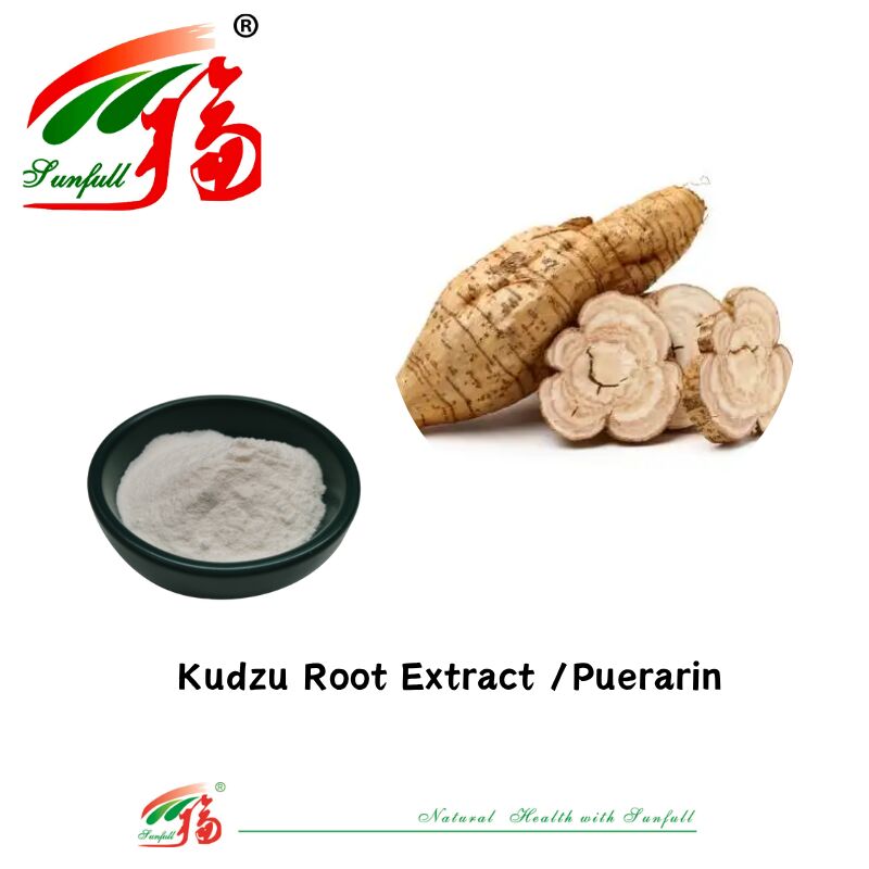Amostra gratuita Extracto de raiz de Kudzu de alta qualidade Pueraria Lobata Extracto de Puerarin 10%-98% CAS 3681-99-0