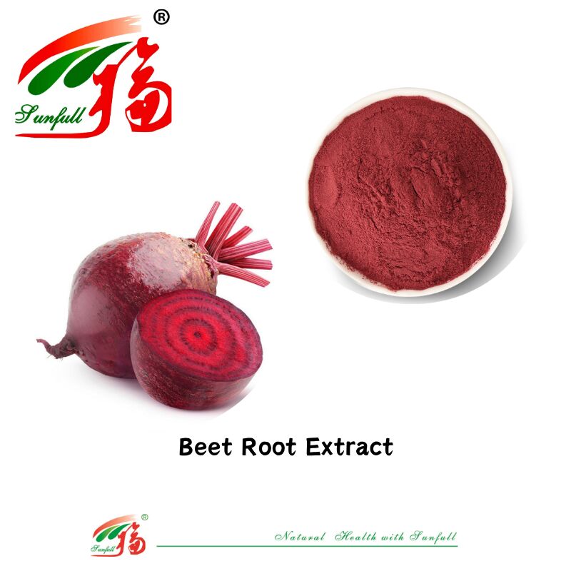 100% Extracto vegetal natural Pigmento natural Orgânico Suco de raiz de beterraba fresca seca Extracto suplemento de betanina Usado em alimentos e bebidas Extracto de raiz de beterraba