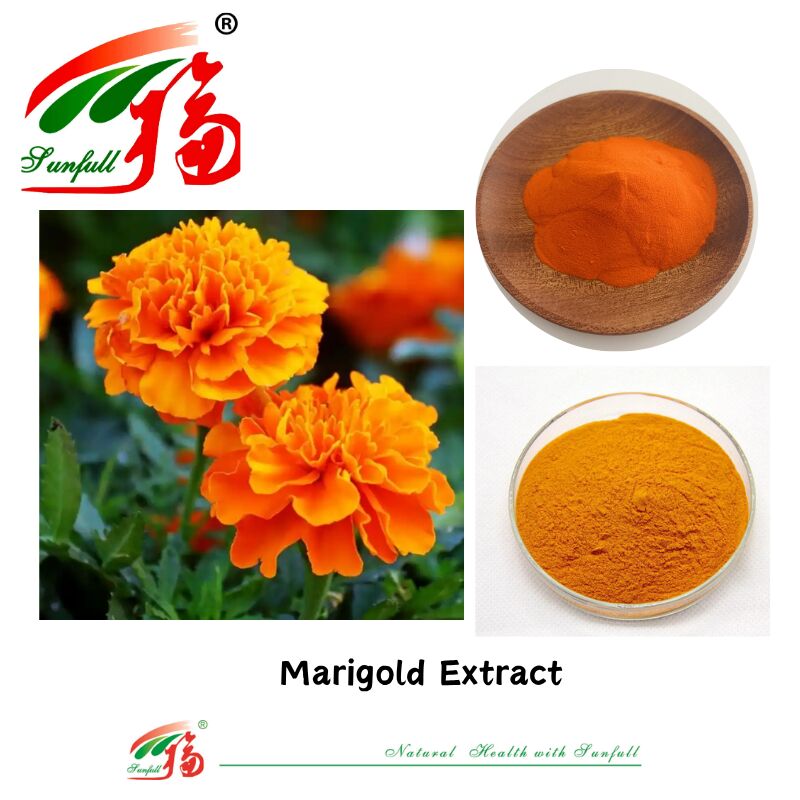 Ingredientes Naturais Olhos Saúde Grau Alimentar Zeaxantina 5% Luteína solúvel em água 5% HPLC Extrato de Flor de Marigold