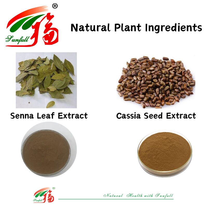 ISO/Kosher Promove a Digestão Extracto de Semente de Cassia de Grau Alimentar 10: 1 / 20% HPLC Sennosides Extracto de Folha de Senna