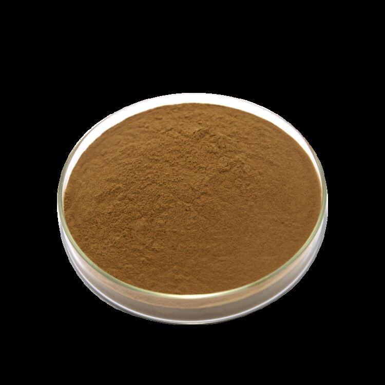 ISO/Kosher Promove a Digestão Extracto de Semente de Cassia de Grau Alimentar 10: 1 / 20% HPLC Sennosides Extracto de Folha de Senna