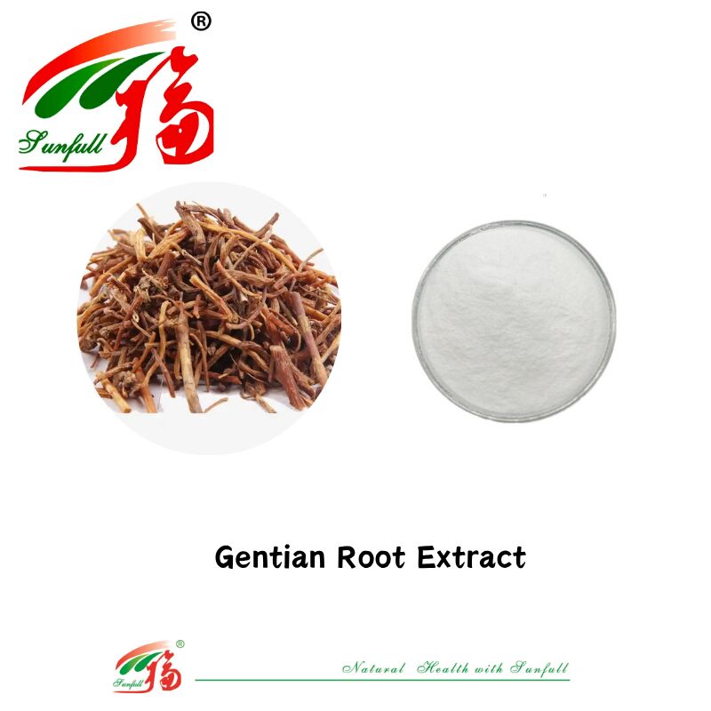 Venda direta de fábrica Erva natural Sem amostra Anti-inflamatório Extracto de raiz de gentian 3%-8% Gentiopicrin