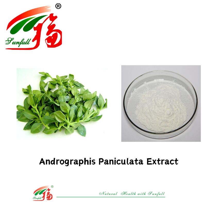 Fornecimento a granel Melhor preço Aditivo natural para alimentos para animais Fornecimento a granel Melhor preço Aditivo natural para alimentos para animais 95% Andrographis Paniculata Extract CAS n.o 5508-58-7