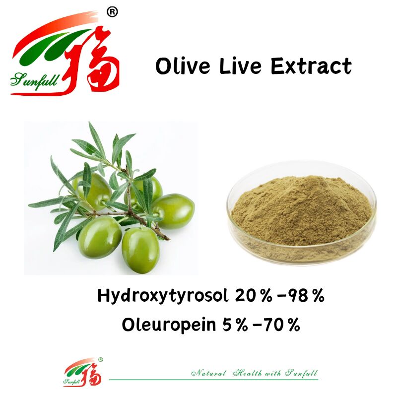 Suplementos de saúde 100% naturais de qualidade alimentar Fornecimento de fábrica 80% Oleuropeína /5%~20% Hidroxitirosol Extracto de Folha de Azeitona