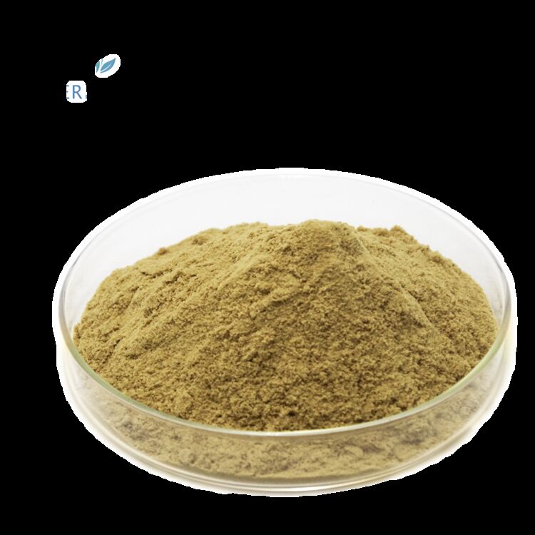 Suplementos de saúde 100% naturais de qualidade alimentar Fornecimento de fábrica 80% Oleuropeína /5%~20% Hidroxitirosol Extracto de Folha de Azeitona